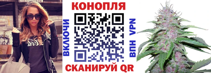 даркнет Telegram  Красный Холм  Шишки марихуана Bruce Banner 
